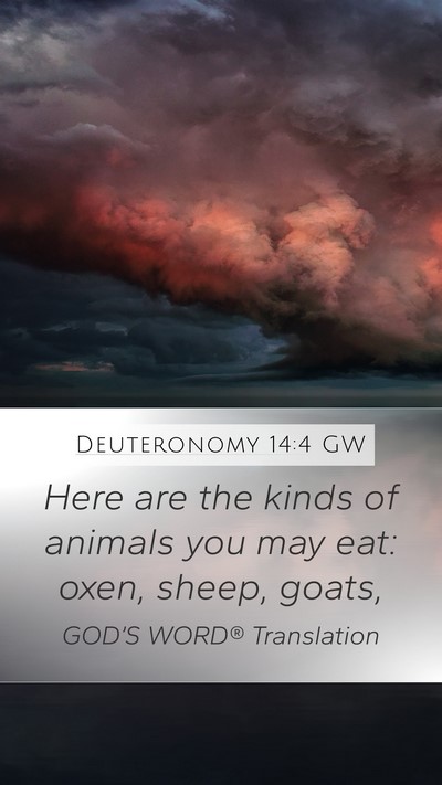 Deuteronomy 14:4 GW Mobile Phone Wallpaper - Here are the kinds of animals you may eat: oxen, - Mobile Bible Verse Wallpaper