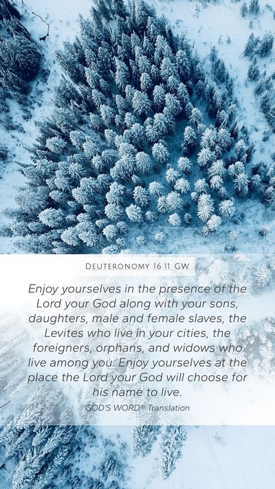 Deuteronomy 16:11 GW Bible Verse Image