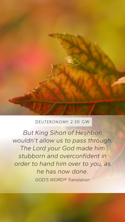 Deuteronomy 2:30 GW Bible Verse Image