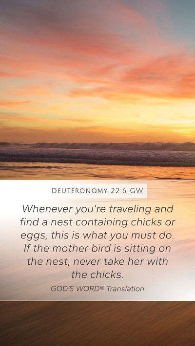 Deuteronomy 22:6 GW Mobile Phone Wallpaper - Whenever you’re traveling and find a nest - Mobile Bible Verse Wallpaper