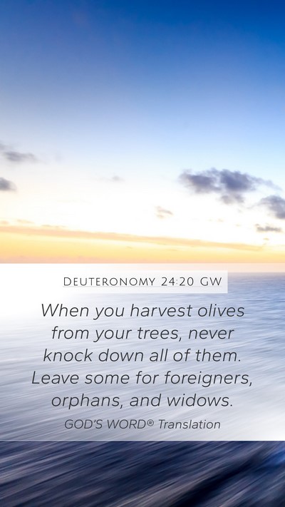 Deuteronomy 24:20 GW Mobile Phone Wallpaper - When you harvest olives from your trees, never - Mobile Bible Verse Wallpaper