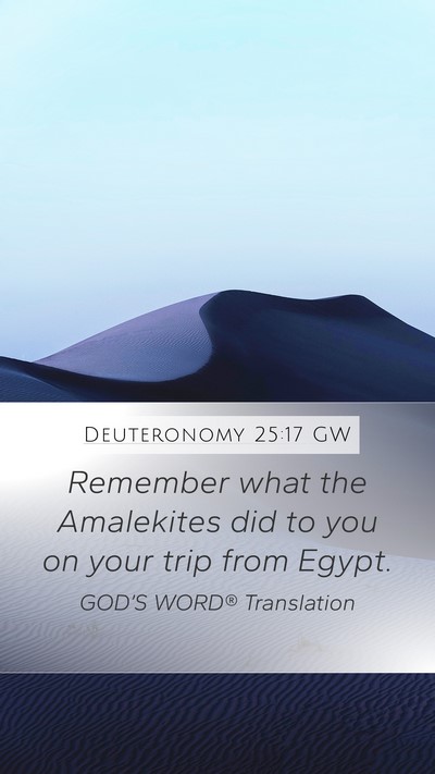 Deuteronomy 25:17 GW Bible Verse Image