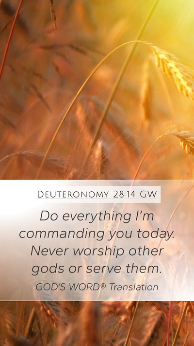 Deuteronomy 28:14 GW Bible Verse Image