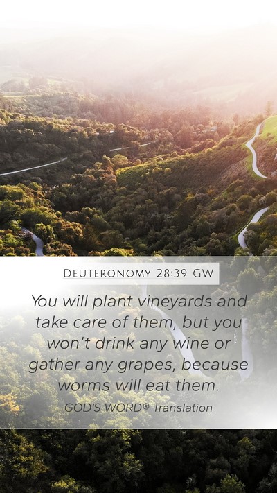 Deuteronomy 28:39 GW Bible Verse Image