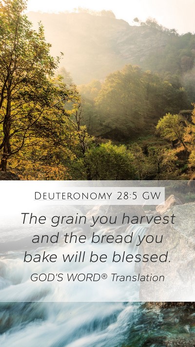 Deuteronomy 28:5 GW Mobile Phone Wallpaper - The grain you harvest and the bread you bake will - Mobile Bible Verse Wallpaper