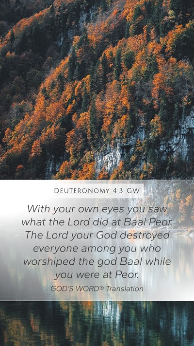 Deuteronomy 4:3 GW Bible Verse Image