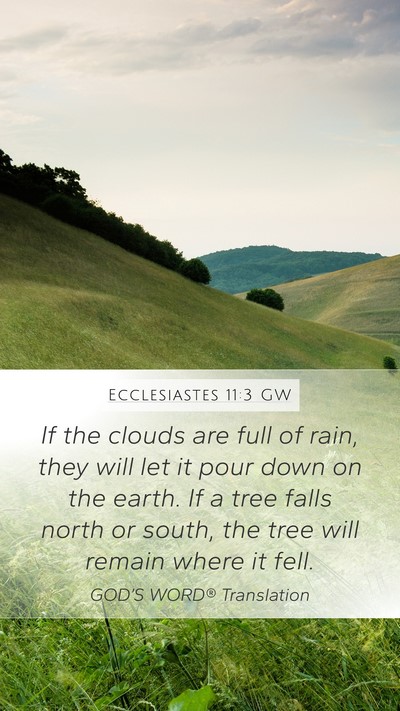Ecclesiastes 11:3 GW Bible Verse Image