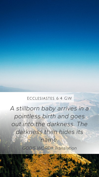 Ecclesiastes 6:4 GW Mobile Phone Wallpaper - A stillborn baby arrives in a pointless birth and - Mobile Bible Verse Wallpaper