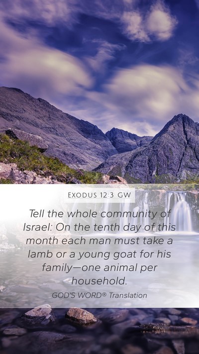Exodus 12:3 GW Bible Verse Image