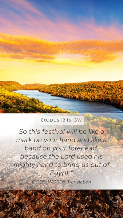 Exodus 13:16 GW Bible Verse Image
