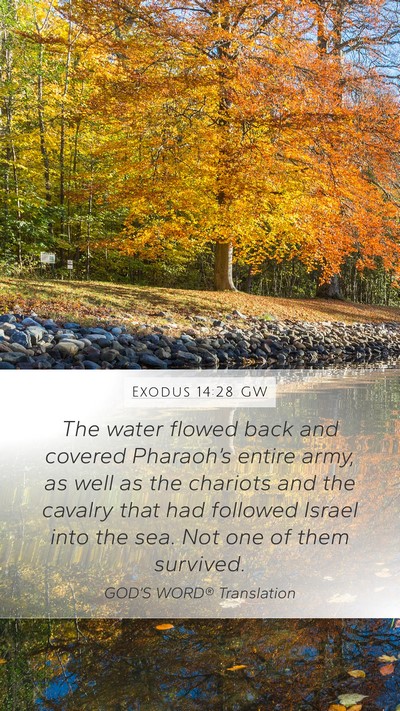 Exodus 14:28 GW Bible Verse Image
