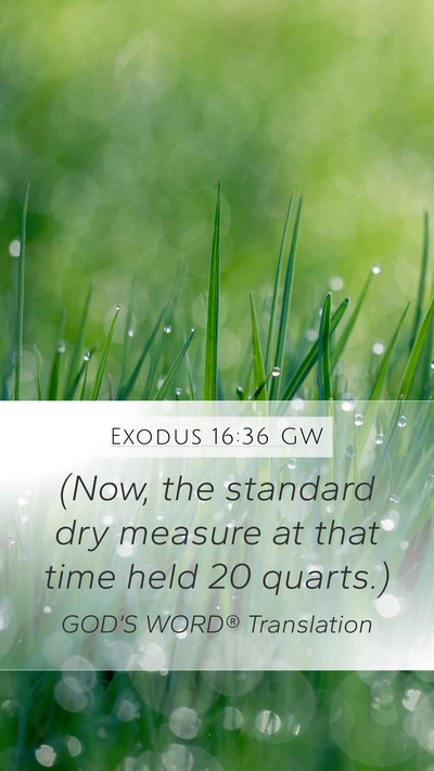 Exodus 16:36 GW Bible Verse Image