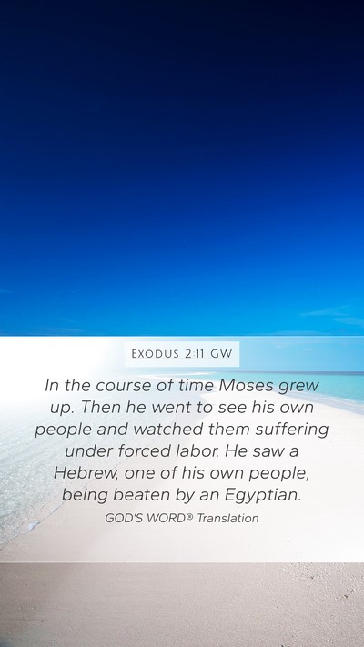 Exodus 2:11 GW Bible Verse Image