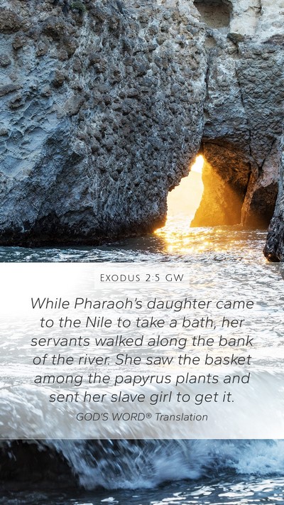 Exodus 2:5 GW Bible Verse Image