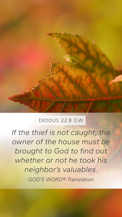 Exodus 22:8 GW Bible Verse Image