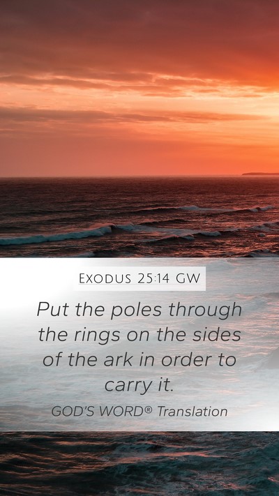 Exodus 25:14 GW Bible Verse Image
