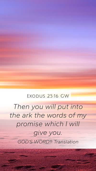 Exodus 25:16 GW Bible Verse Image