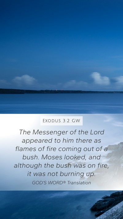 Exodus 3:2 GW Bible Verse Image