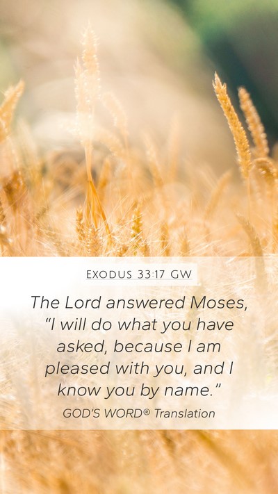 Exodus 33:17 GW Bible Verse Image