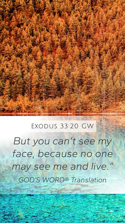 Exodus 33:20 GW Bible Verse Image