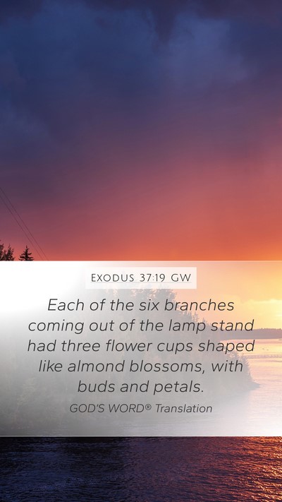 Exodus 37:19 GW Mobile Phone Wallpaper - Each of the six branches coming out of the lamp - Mobile Bible Verse Wallpaper