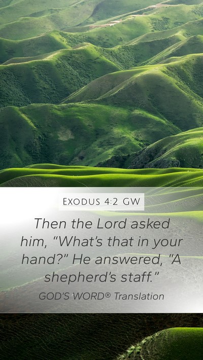 Exodus 4:2 GW Bible Verse Image