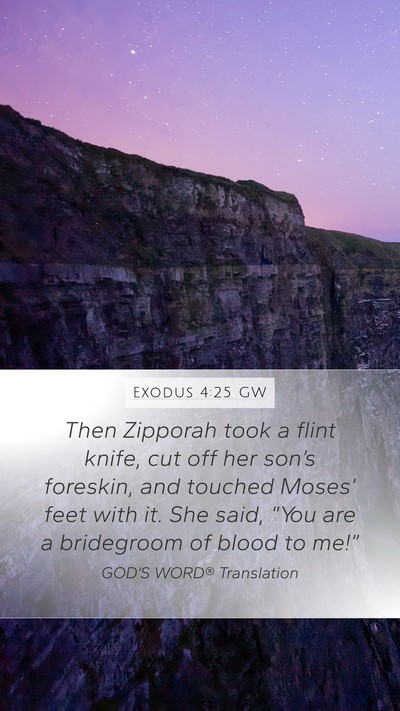 Exodus 4:25 GW Bible Verse Image