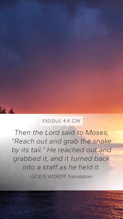 Exodus 4:4 GW Mobile Phone Wallpaper - Then the Lord said to Moses, “Reach out and - Mobile Bible Verse Wallpaper