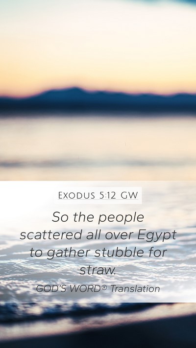 Exodus 5:12 GW Mobile Phone Wallpaper - So the people scattered all over Egypt to gather - Mobile Bible Verse Wallpaper
