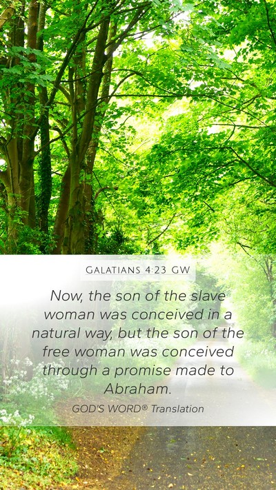 Galatians 4:23 GW Bible Verse Image