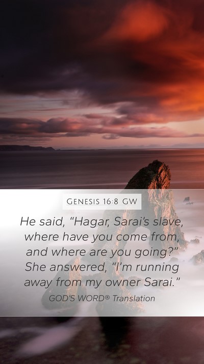 Genesis 16:8 GW Bible Verse Image