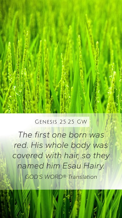 Genesis 25:25 GW Bible Verse Image