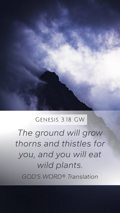 Genesis 3:18 GW Mobile Phone Wallpaper - The ground will grow thorns and thistles for you, - Mobile Bible Verse Wallpaper