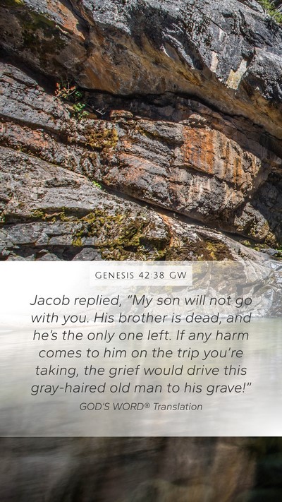 Genesis 42:38 GW Bible Verse Image