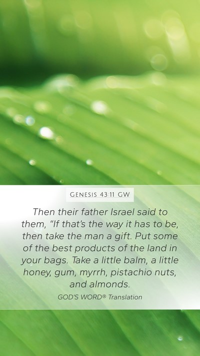 Genesis 43:11 GW Bible Verse Image