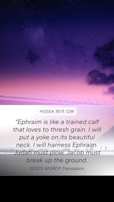 Hosea 10:11 GW Bible Verse Image