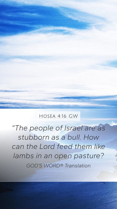 Hosea 4:16 GW Bible Verse Image