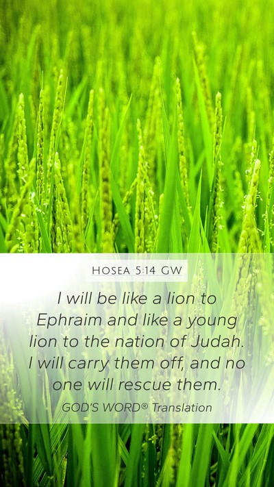 Hosea 5:14 GW Bible Verse Image