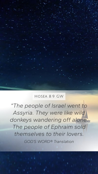 Hosea 8:9 GW Bible Verse Image