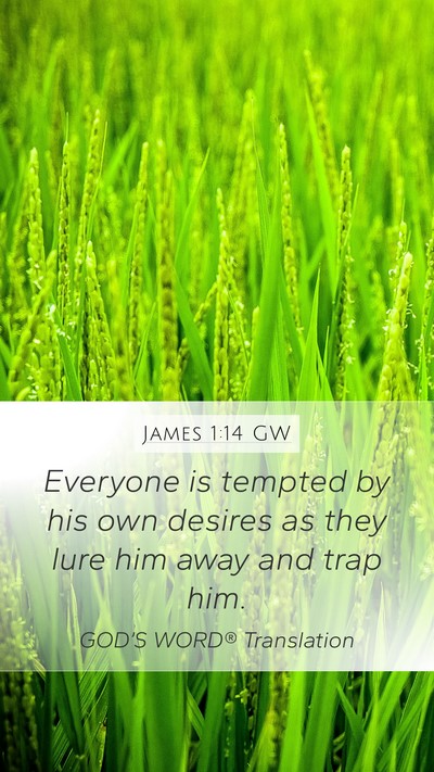 James 1:14 GW Bible Verse Image