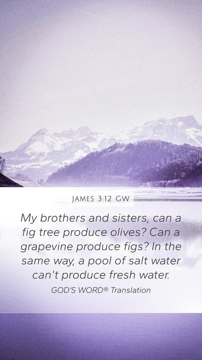 James 3:12 GW Bible Verse Image