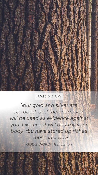 James 5:3 GW Mobile Phone Wallpaper - Your gold and silver are corroded, and their - Mobile Bible Verse Wallpaper
