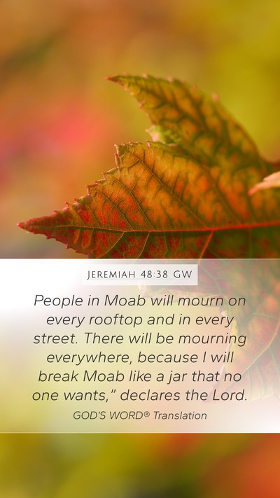 Jeremiah 48:38 GW Bible Verse Image