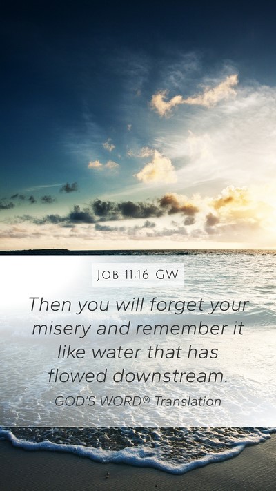 Job 11:16 GW Mobile Phone Wallpaper - Then you will forget your misery and remember it - Mobile Bible Verse Wallpaper