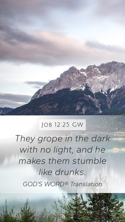 Job 12:25 GW Bible Verse Image