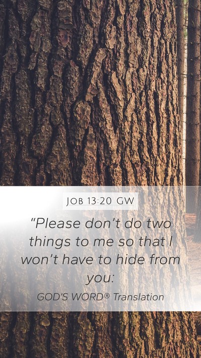 Job 13:20 GW Mobile Phone Wallpaper - “Please don’t do two things to me so that I - Mobile Bible Verse Wallpaper