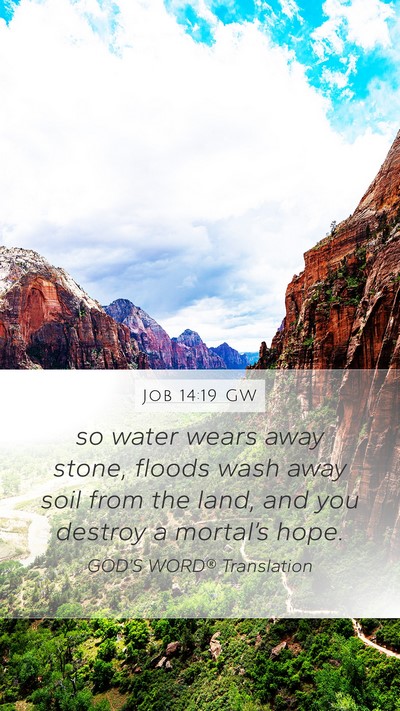 Job 14:19 GW Bible Verse Image