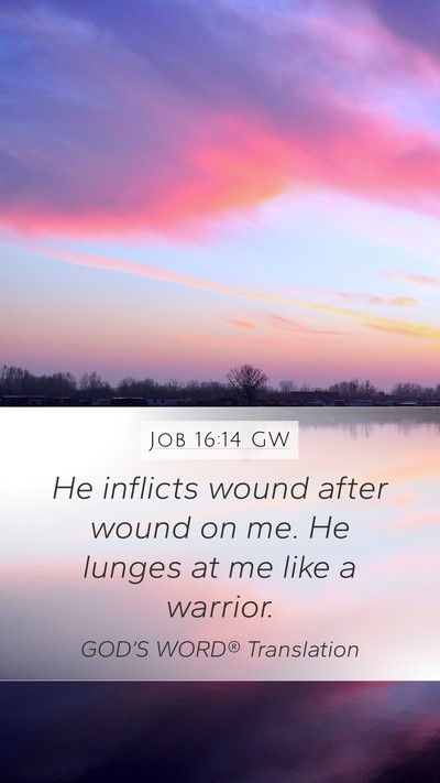 Job 16:14 GW Bible Verse Image