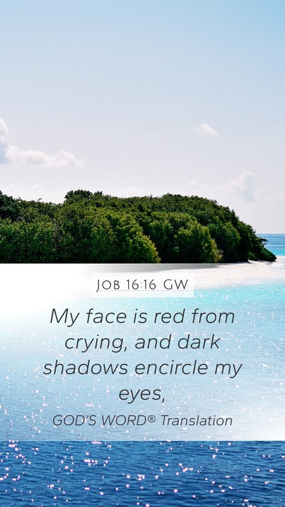 Job 16:16 GW Bible Verse Image