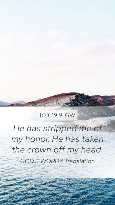 Job 19:9 GW Bible Verse Image